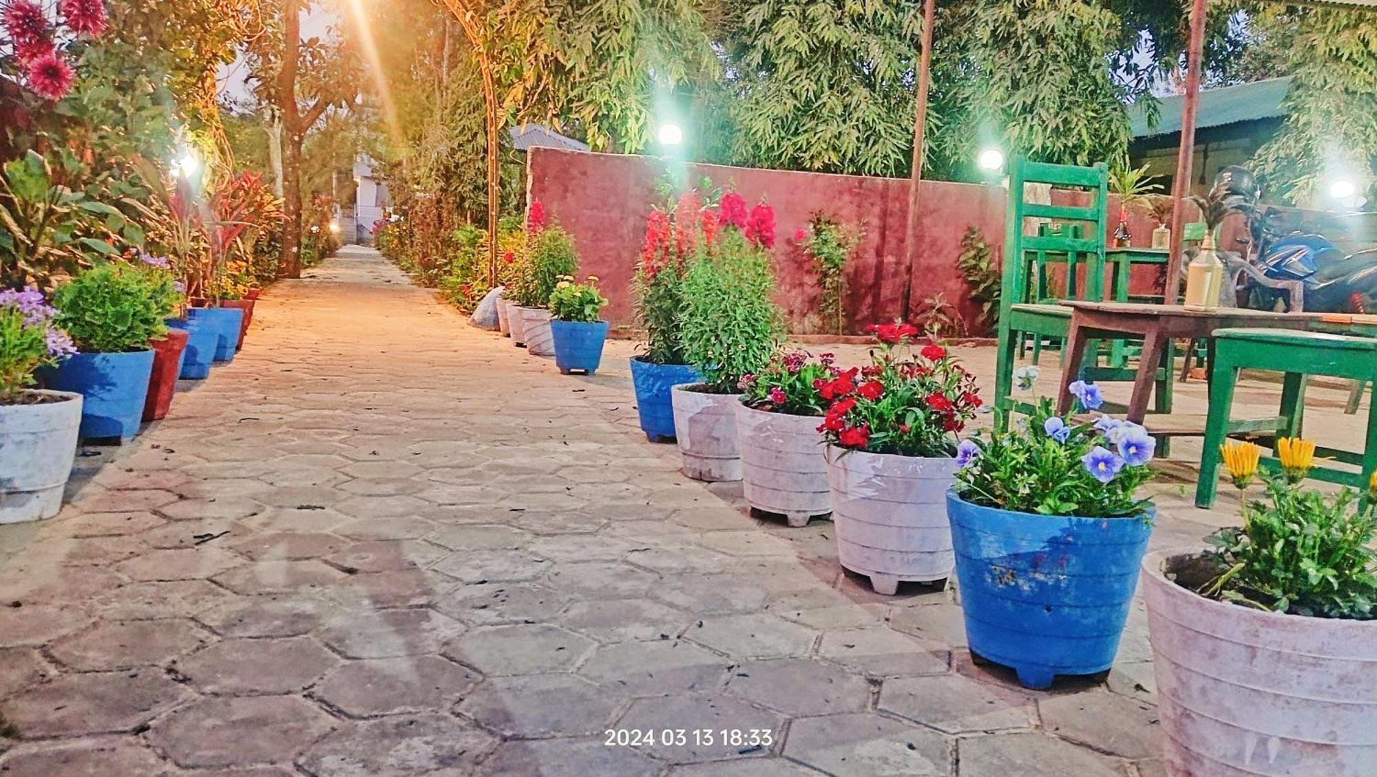 Hotel Butterfly - Peaceful Garden For Nature Lovers Sauraha Eksteriør billede