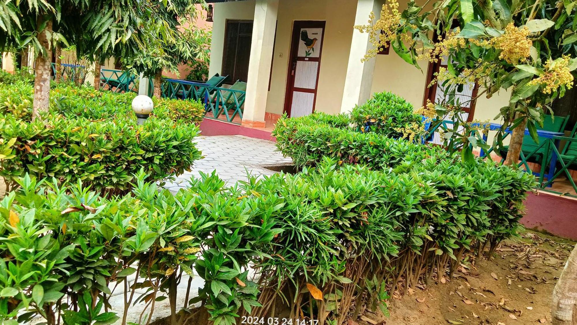 Hotel Butterfly - Peaceful Garden For Nature Lovers Sauraha Eksteriør billede