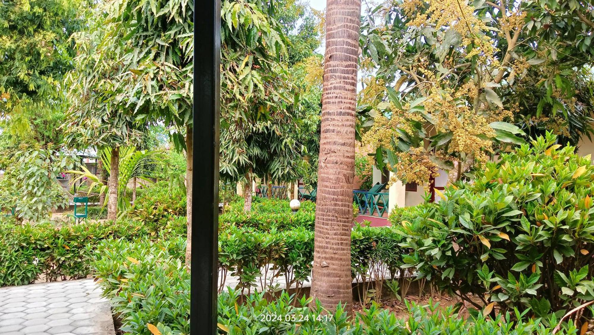 Hotel Butterfly - Peaceful Garden For Nature Lovers Sauraha Eksteriør billede