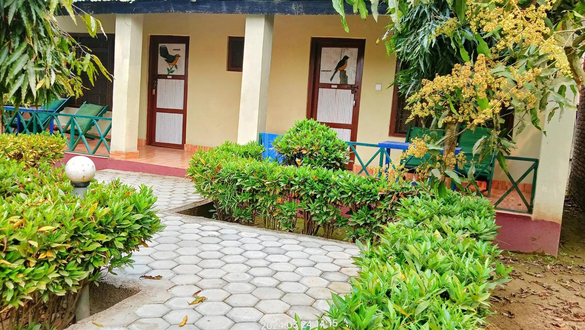 Hotel Butterfly - Peaceful Garden For Nature Lovers Sauraha Eksteriør billede