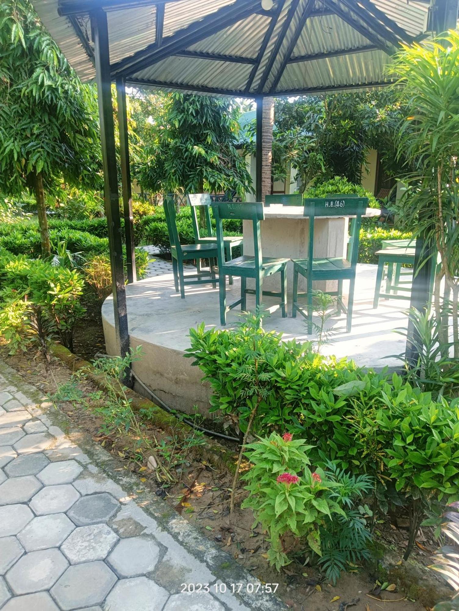 Hotel Butterfly - Peaceful Garden For Nature Lovers Sauraha Eksteriør billede