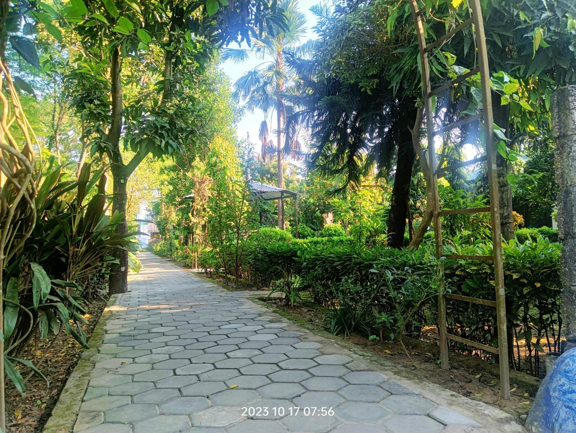 Hotel Butterfly - Peaceful Garden For Nature Lovers Sauraha Eksteriør billede