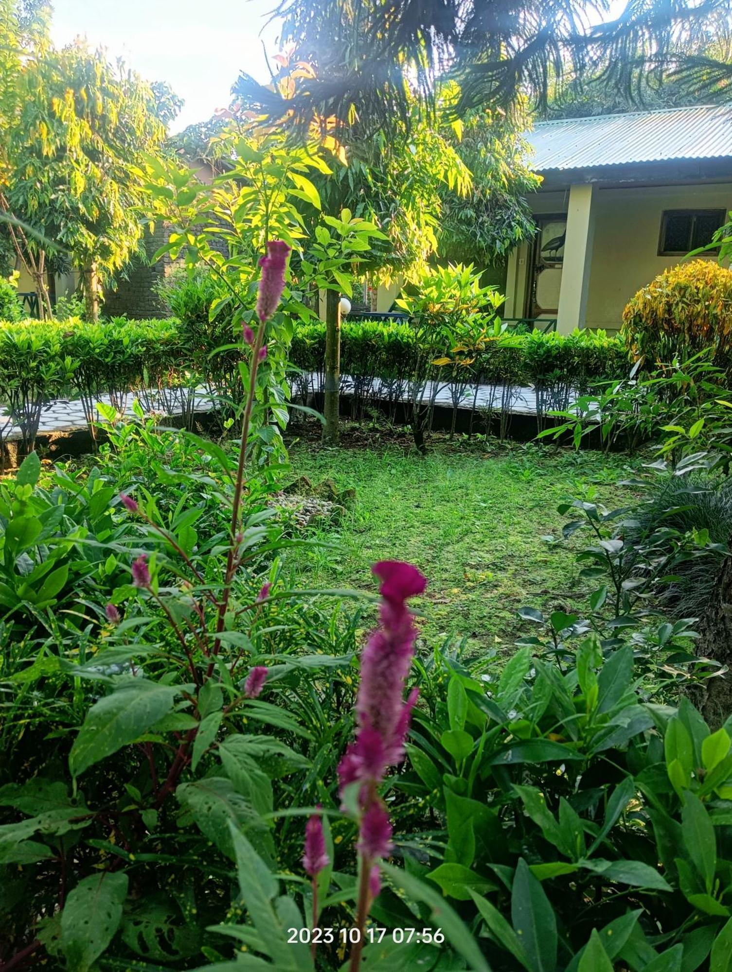 Hotel Butterfly - Peaceful Garden For Nature Lovers Sauraha Eksteriør billede