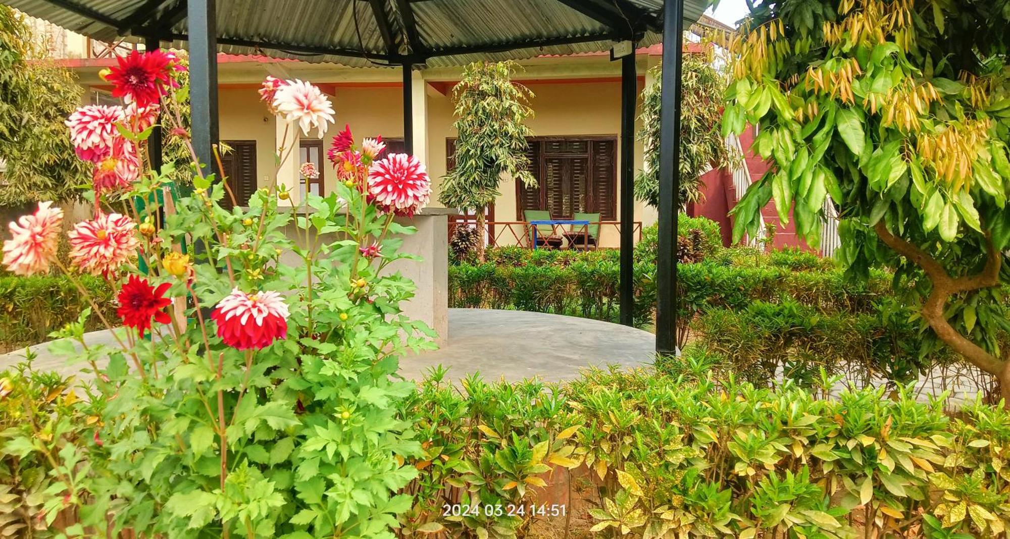 Hotel Butterfly - Peaceful Garden For Nature Lovers Sauraha Eksteriør billede