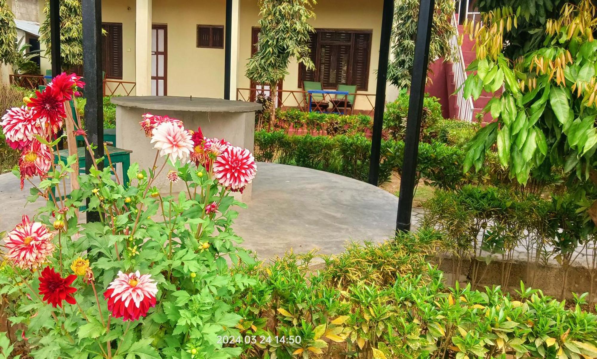 Hotel Butterfly - Peaceful Garden For Nature Lovers Sauraha Eksteriør billede