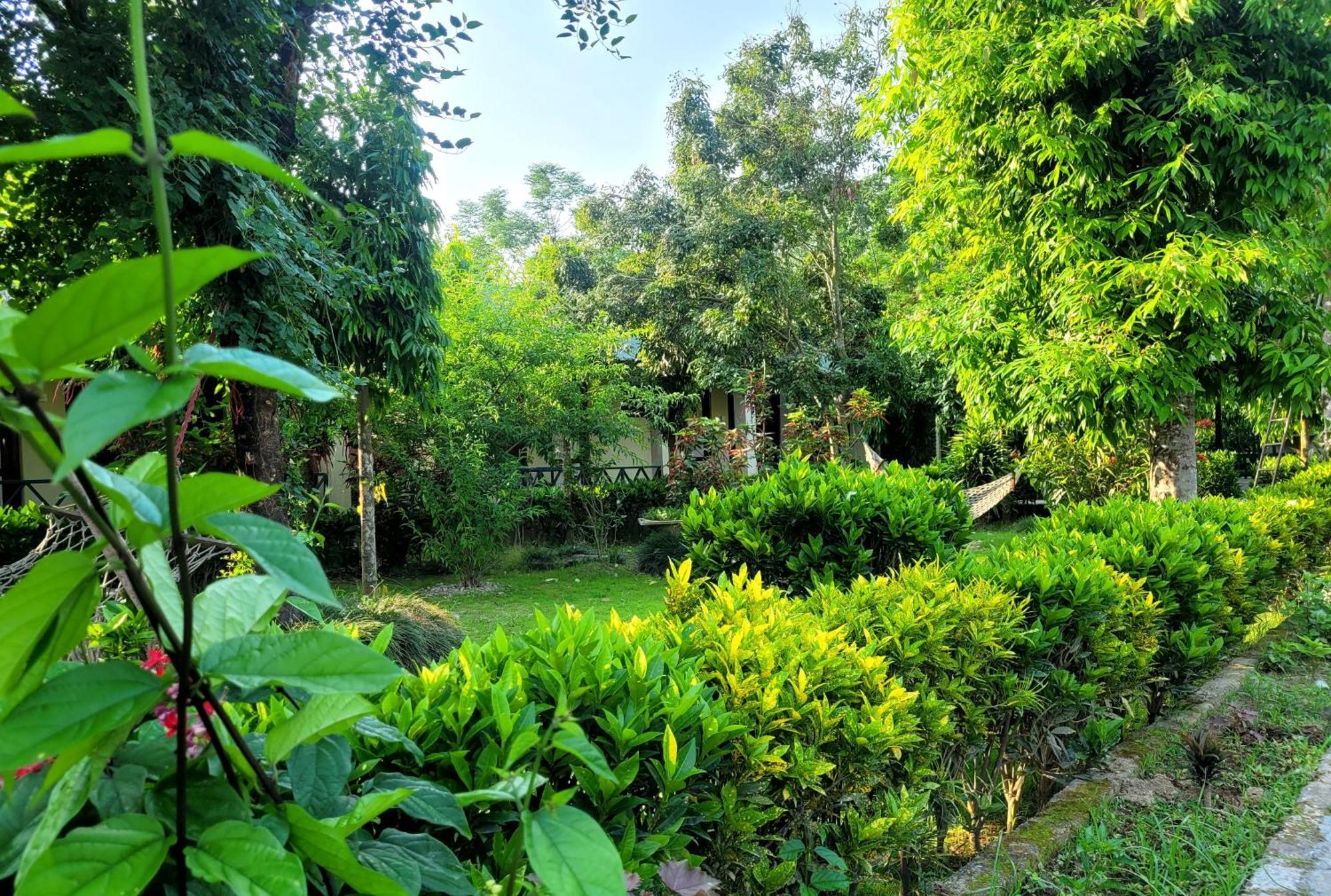 Hotel Butterfly - Peaceful Garden For Nature Lovers Sauraha Eksteriør billede