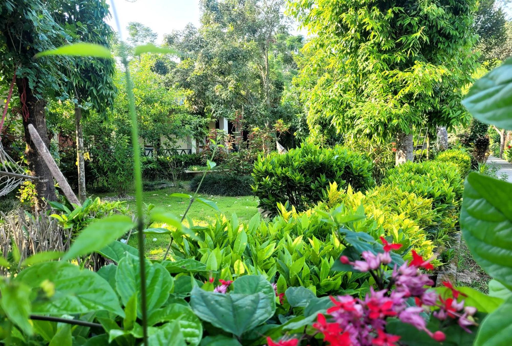 Hotel Butterfly - Peaceful Garden For Nature Lovers Sauraha Eksteriør billede