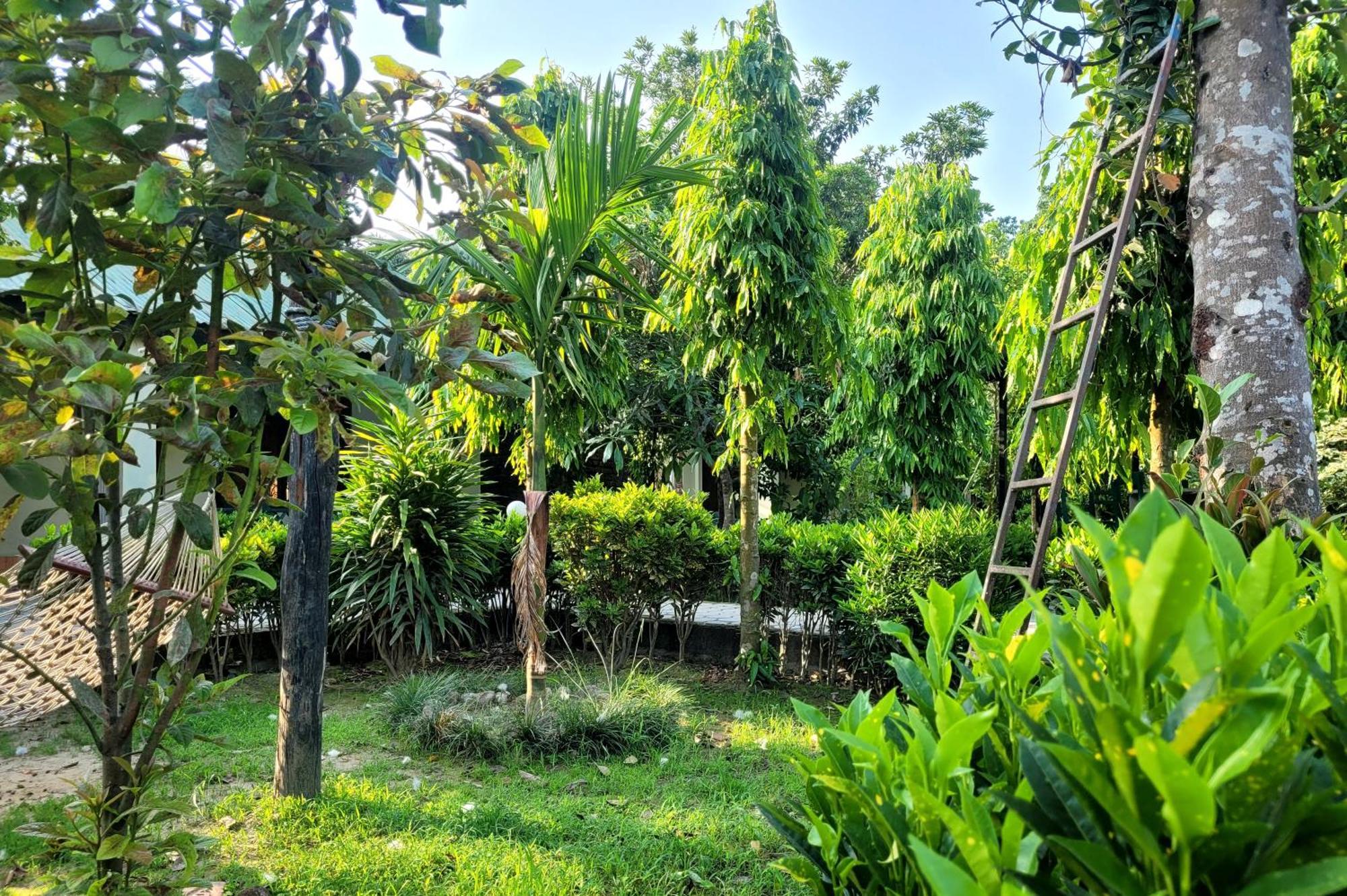Hotel Butterfly - Peaceful Garden For Nature Lovers Sauraha Eksteriør billede