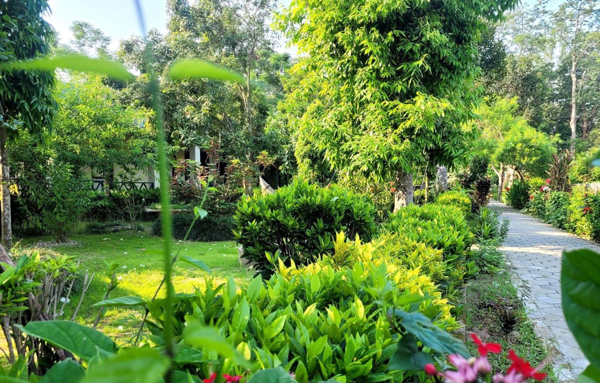 Hotel Butterfly - Peaceful Garden For Nature Lovers Sauraha Eksteriør billede